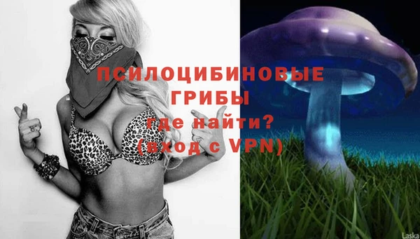 дживик Абинск