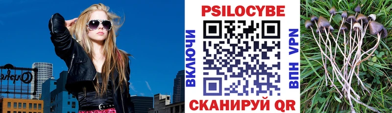Галлюциногенные грибы прущие грибы  Ессентукская 